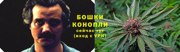 соль ск Алексеевка