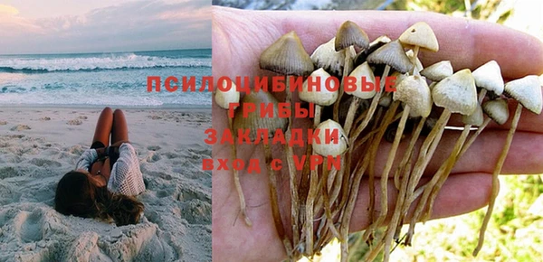 соль ск Алексеевка