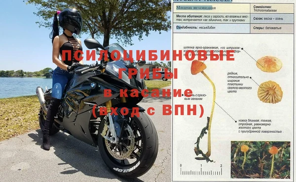 спиды Алзамай