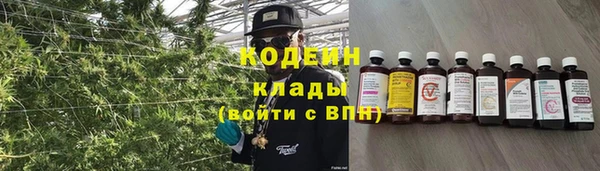 спиды Алзамай