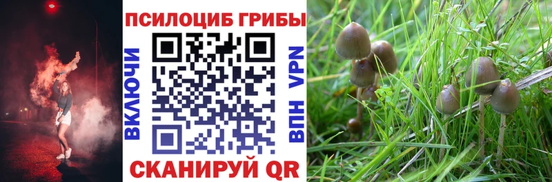 KRAKEN вход  купить наркоту  Макушино  Псилоцибиновые грибы ЛСД 